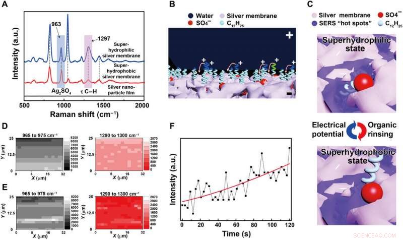 Electrodeposited Surfaces with Reversible Interfacial Switching for Advanced Wettability Control