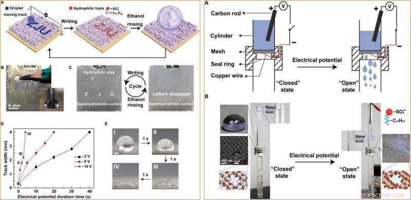 Electrodeposited Surfaces with Reversible Interfacial Switching for Advanced Wettability Control