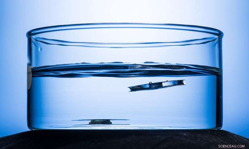 Spider & Ant-Inspired Metal Stays Up—A Breakthrough Against Sinking