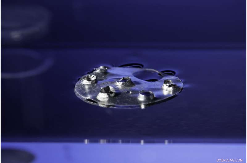 Spider & Ant-Inspired Metal Stays Up—A Breakthrough Against Sinking