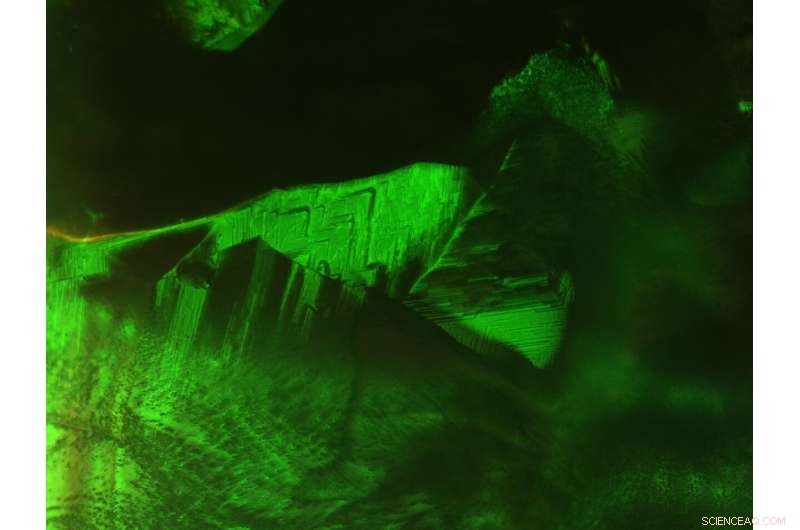 Revolutionizing Displays: Photonic Liquid Crystals Promise Faster, Brighter Screens