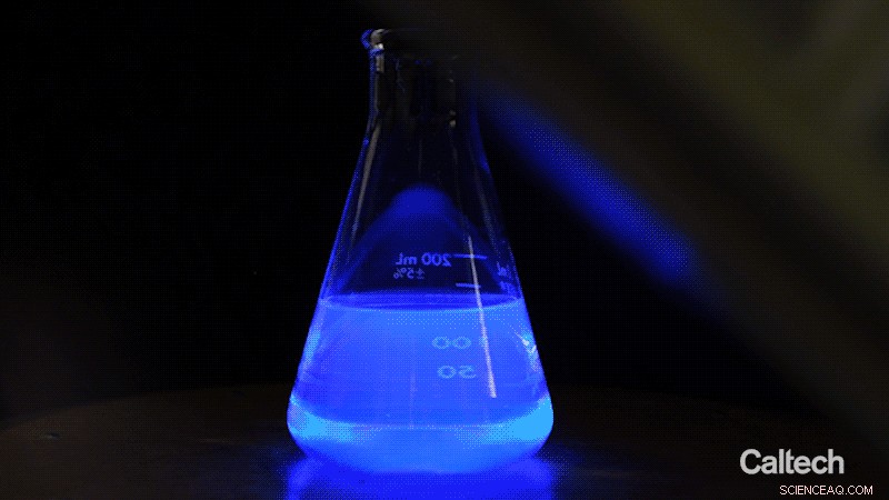 Force-Triggered Polymer Releases Molecular Cargo on Demand