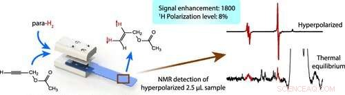 Innovative Drug Testing Research Aims to Cut Lab Animal Use Drastically