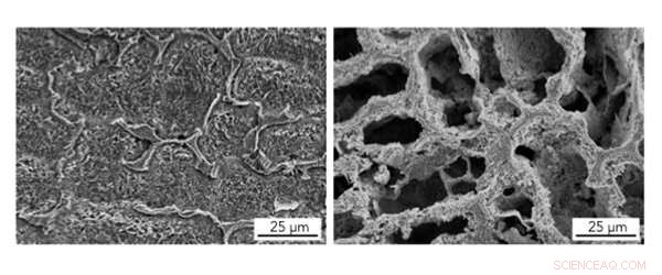 Scientists Reinforce Manufacturing Process to Enhance Strength of Advanced Materials