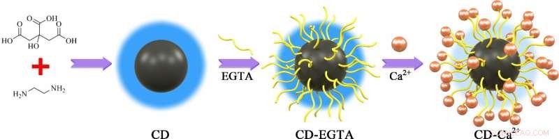 Carbon Dots Improve Calcium Monitoring in Clinical Settings