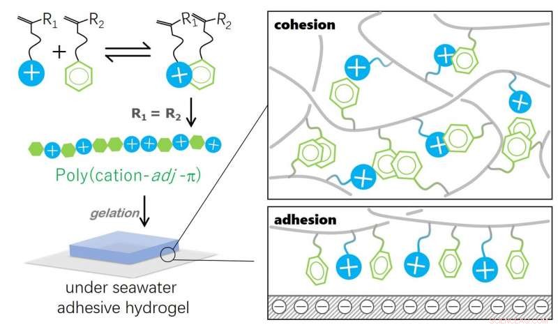 Bio‑Inspired Hydrogels Mimic Superglue Performance in Seawater