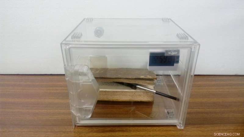 How the Aroma of Antique Books Can Safeguard Their Legacy