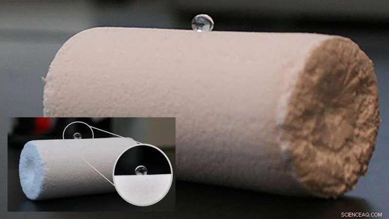 Revolutionary Adsorbent Material Enhances Biomanufacturing by Selectively Capturing Unwanted Molecules