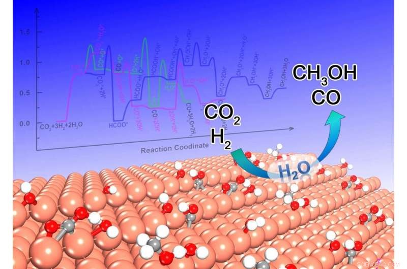 Water s Role in Modulating CO₂ Reduction Activity and Selectivity