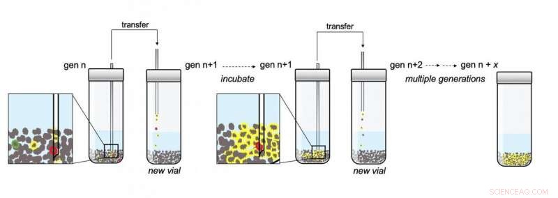 Simulating Life: Lab-Generated Chemistry Offers New Insights into Origin of Life
