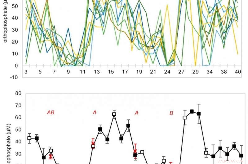 Simulating Life: Lab-Generated Chemistry Offers New Insights into Origin of Life