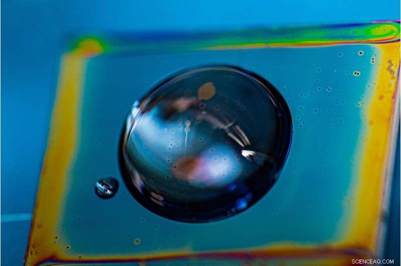 Engineers Design Tailorable Bottlebrush Copolymers for Advanced Applications