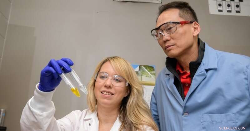 Innovative CRISPR Breakthrough: A New Approach for Chemistry, Biochemistry, and Biofuel Engineering