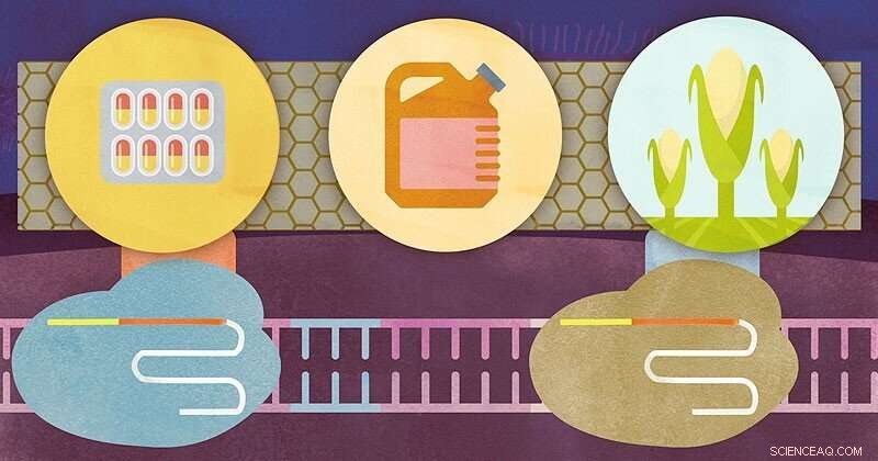 Innovative CRISPR Breakthrough: A New Approach for Chemistry, Biochemistry, and Biofuel Engineering