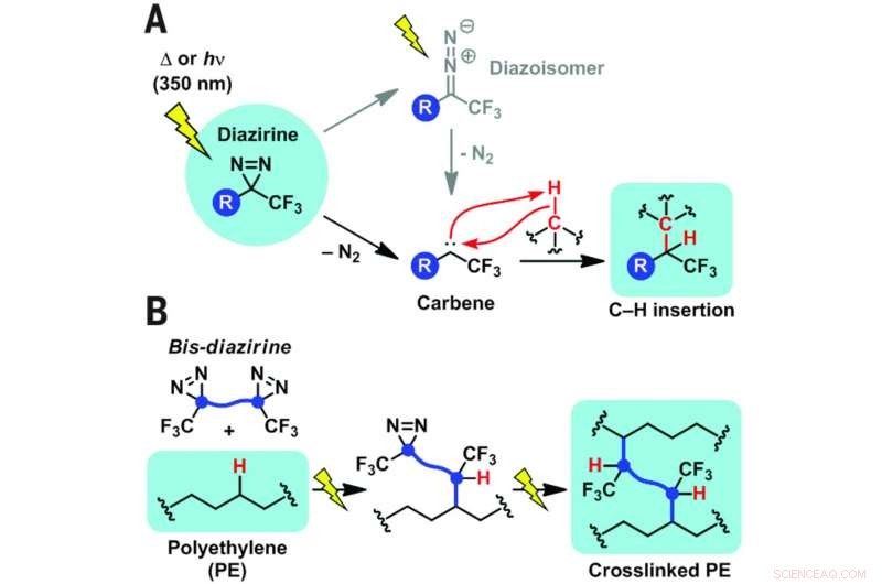 Innovative Bis-Diazirine Adhesive for Bonding Polyethylene