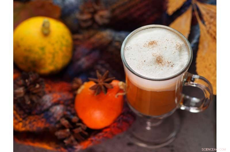 Innovative Method for Encapsulating Pumpkin Spice Compounds in Water for Products, Drugs, and Cosmetics