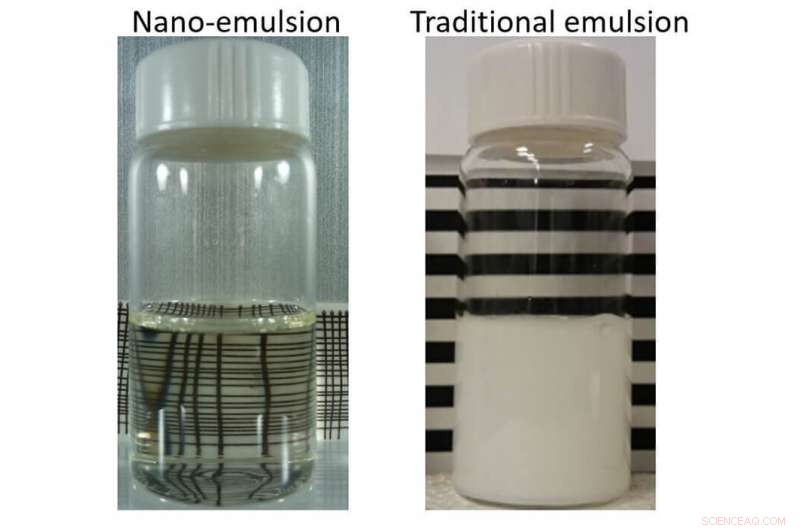 Innovative Method for Encapsulating Pumpkin Spice Compounds in Water for Products, Drugs, and Cosmetics