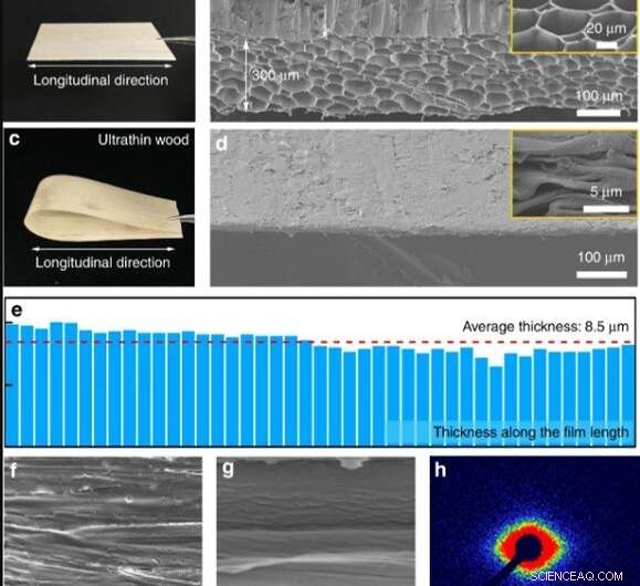 Ultra-Thin Wood Speaker – Single-Digit Micrometer Thickness for Advanced Audio Performance