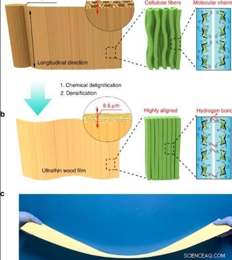 Ultra-Thin Wood Speaker – Single-Digit Micrometer Thickness for Advanced Audio Performance