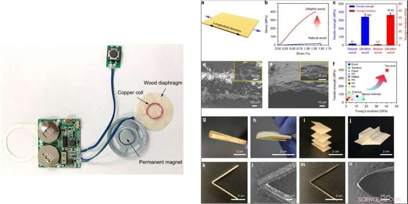 Ultra-Thin Wood Speaker – Single-Digit Micrometer Thickness for Advanced Audio Performance