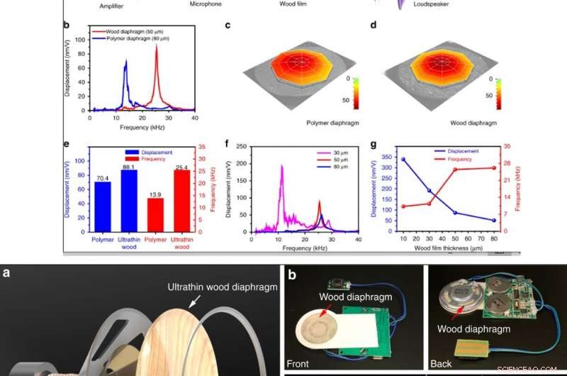 Ultra-Thin Wood Speaker – Single-Digit Micrometer Thickness for Advanced Audio Performance