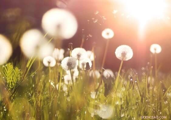 Revolutionary 3‑D Printing Technique Creates Living 4‑D Materials