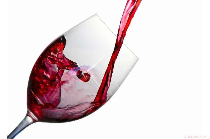 Discovering the Pathway to Wine Acidity: A Breakthrough in Winemaking