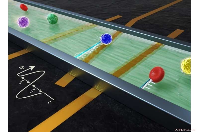Accurate Biophysical Characterization and Position Tracking of Individual Cells via Microfluidic Impedance Cytometry