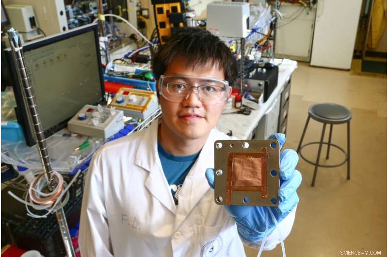 Scientists Develop Advanced Catalyst to Convert CO₂ into Ethylene, Paving the Way for Carbon‑Neutral Plastics