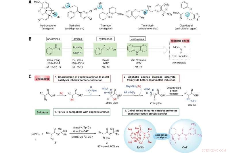 A Two-Step Strategy for Transforming Aliphatic Amines into Unnatural Amino Acids