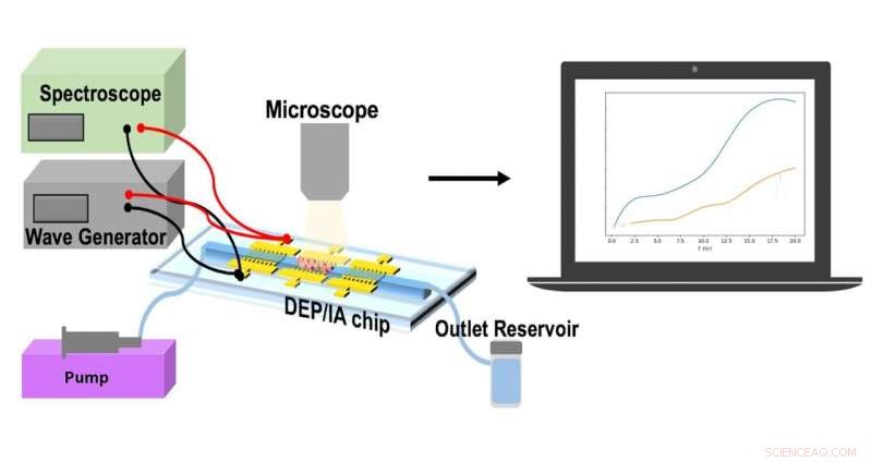 New Lab‑on‑a‑Chip Platform Enables Personalized, Rapid Drug Efficacy Monitoring