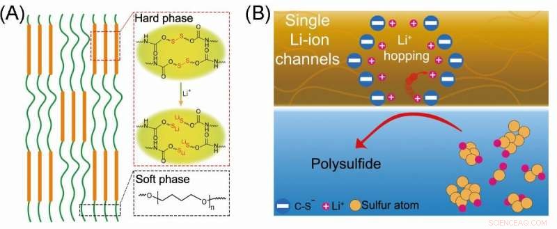 Enhancing Sulfur Cathode Stability with Single‑Ion‑Channel Polymer Binders