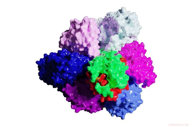 Scientists Achieve First Visualization of Bacterial Motor, Advancing Bioelectric Energy Research