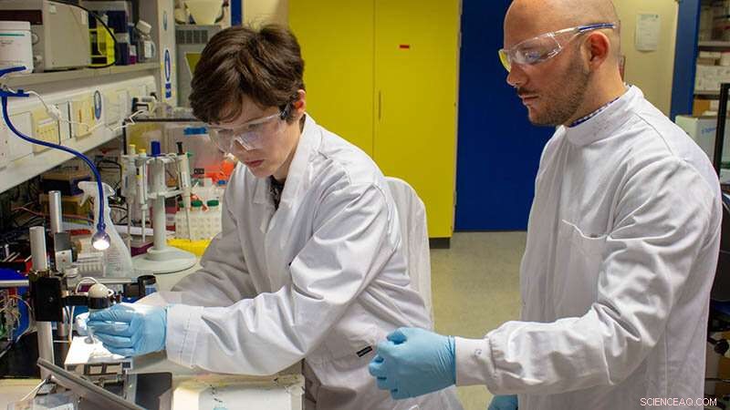 Plant-Derived Sustainable Plastic Enhances Organ Research