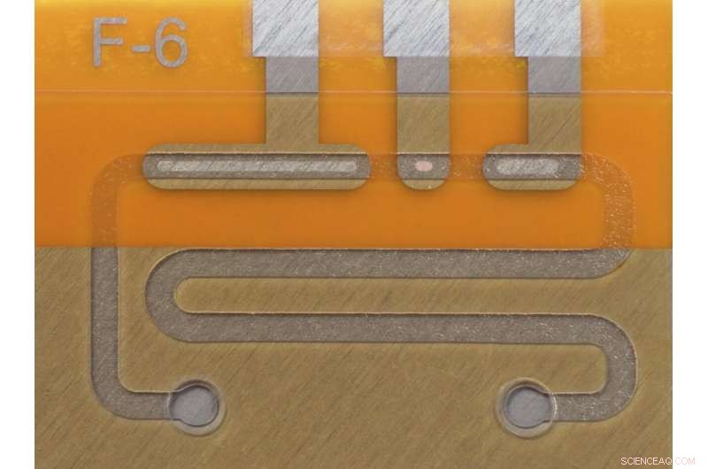 CRISPR Gene Scissors: Pioneering Electrochemical Biosensors for Rapid Disease Detection