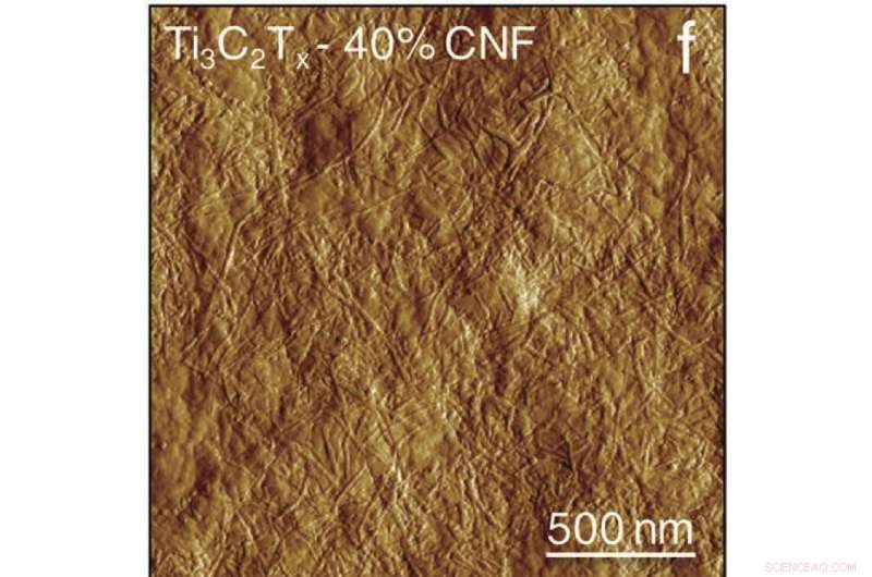 Wood‑Based Electrodes: Enhancing Durability and Sustainability in Wearable Electronics