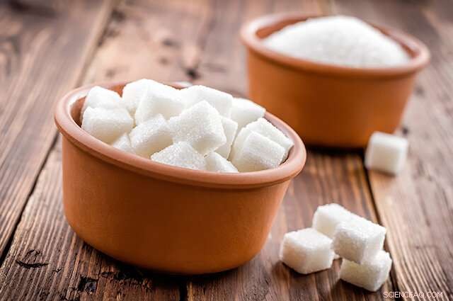 Bacteria Enable Production of Low‑Calorie, Diabetic‑Friendly Sugar