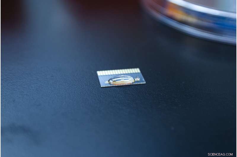 Scientists Unveil Electrochemical Platform to Drive Cell‑Free Synthetic Biology