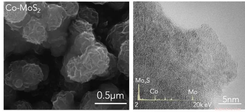 Revolutionary 2‑D Catalyst Enables Energy‑Efficient Ammonia Production