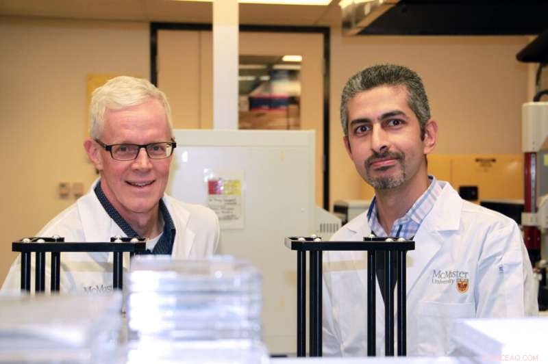 New Potent Antimicrobial Shows Promise Against Staphylococcal Infections