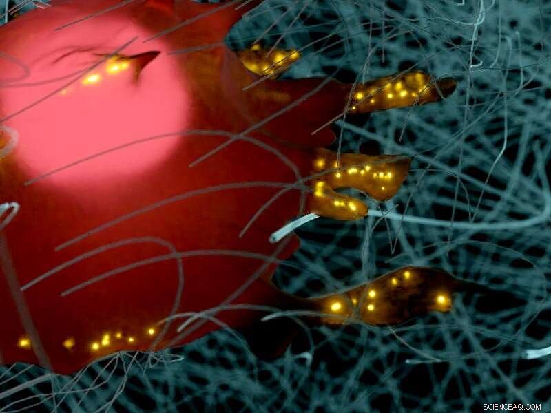 Dense Microenvironments Keep Cells in Check: The Role of Integrin-Matrix Adhesion