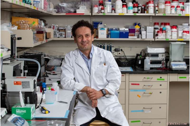 Innovative Smart Coatings Enhance Blood Vessel Grafts for Safer, More Reliable Integration