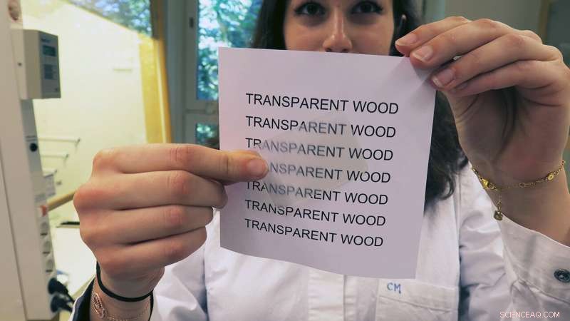 Transparent Wood: The Next Frontier in Sustainable Construction