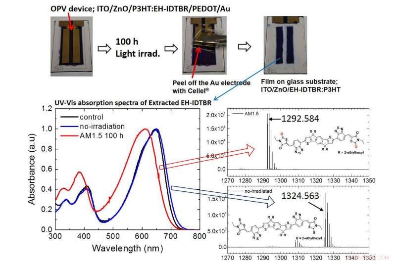 Investigating Daylight-Induced Degradation in Organic Solar Cells