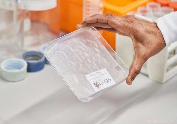 Banana‑Plant Packaging: A Sustainable, Biodegradable Alternative to Plastic