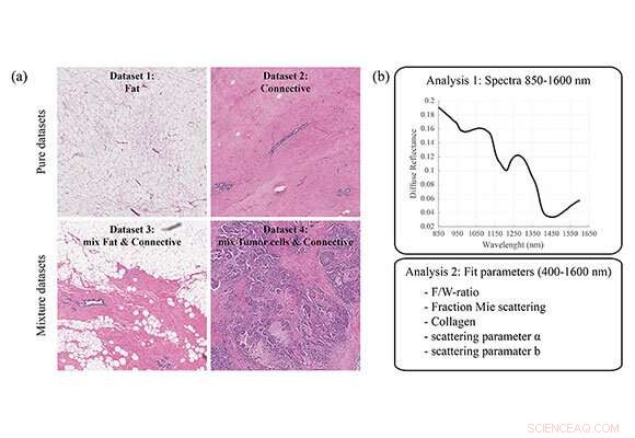 New Study Confirms Imaging Can Distinguish Healthy Tissue Post-Neoadjuvant Chemotherapy