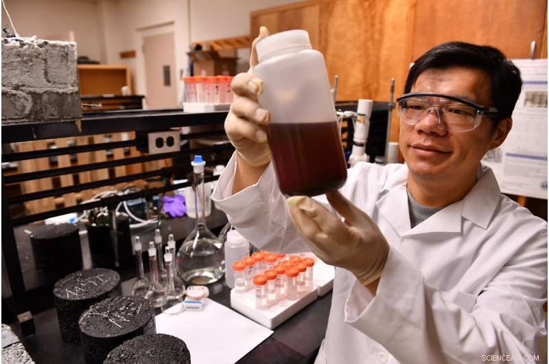 Sustainable Road Deicing: Harnessing Grape and Agricultural Waste