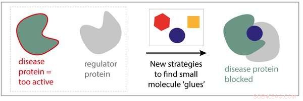 Discovering Molecular Glues: Targeting Complex Diseases with Precision