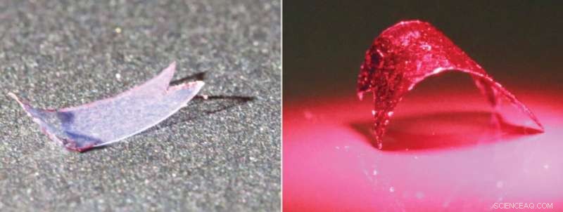 Programmable Plastic Learns to Walk – A New Pavlovian Thermoplastic Innovation