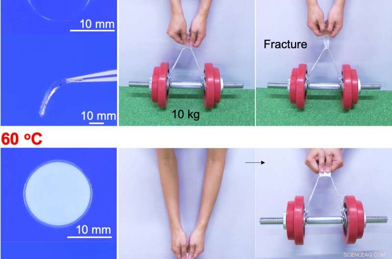 Bio-Inspired Hydrogel Rapidly Transforms Into Rigid Plastic—A Breakthrough in Smart Materials